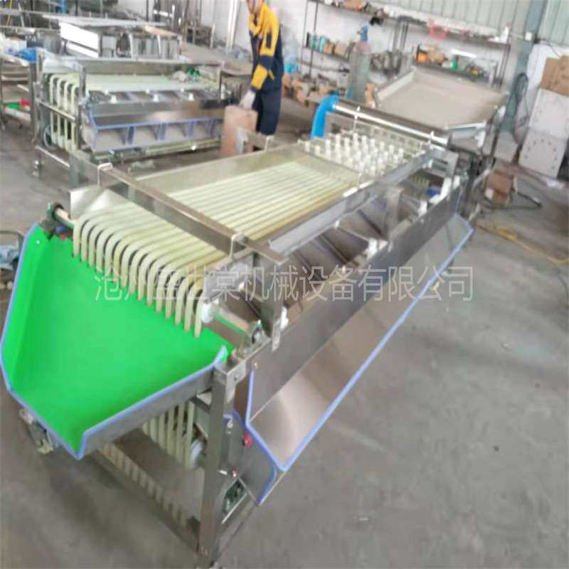 短枣选果机 商用小型水果分果机 分级规格可选