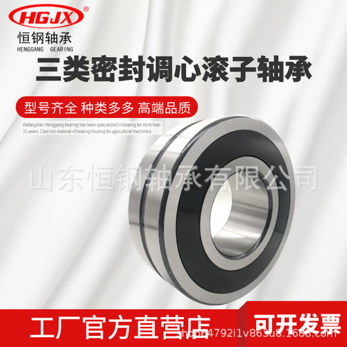 BS2-2313-2CS 2RS 双面65*140*56mm 密封22313CA 调心滚子轴承