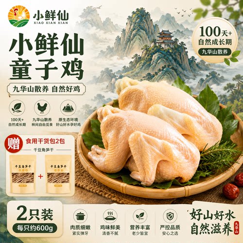 高山散养童子鸡到手2只