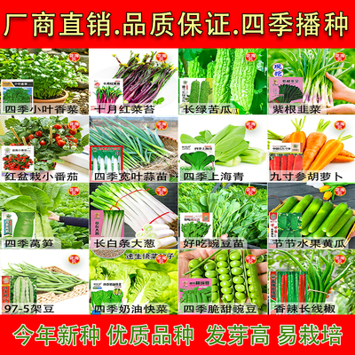 满2件免蔬菜种子大全四季可种鸡毛菜上海青白菜青菜菜心油麦菠菜