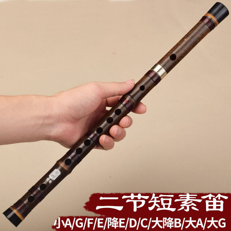 聚得笛子竹笛专业紫竹横笛高档初学演奏二节素笛乐器小A调+全套赠