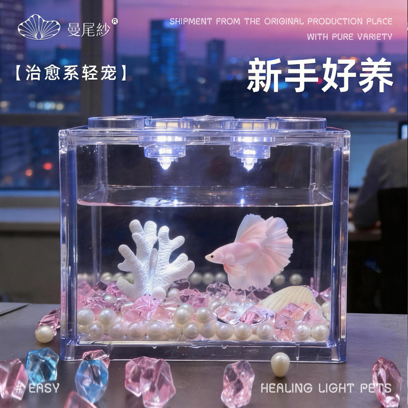 曼尾纱泰国斗鱼带鱼缸桌面小型造景摆件热带观赏鱼好养半月婚纱鱼