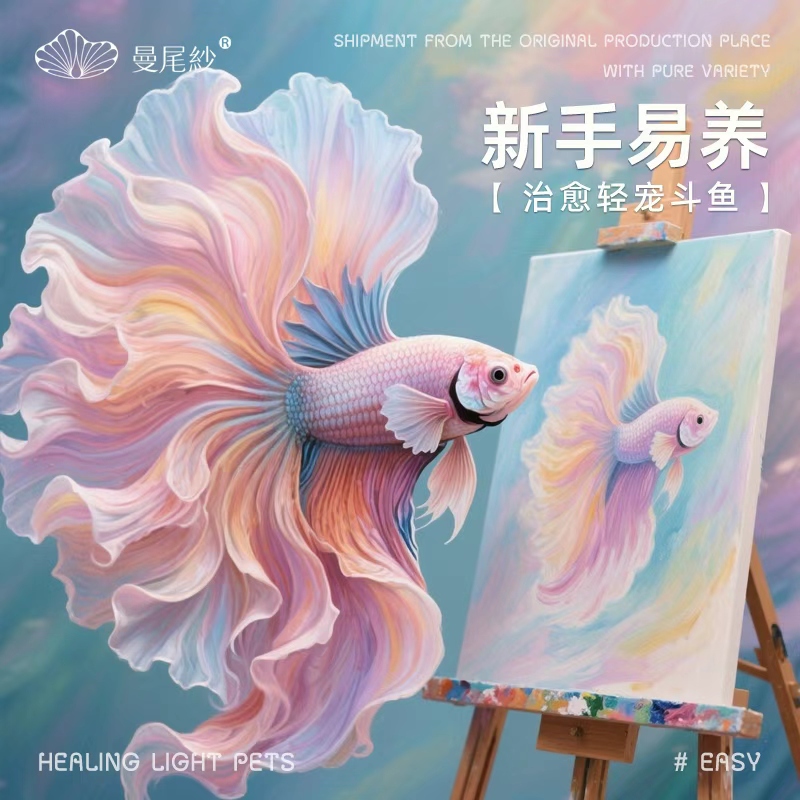 曼尾纱泰国斗鱼观赏热带淡水家养小型耐活宠物公母繁殖冷水婚纱鱼