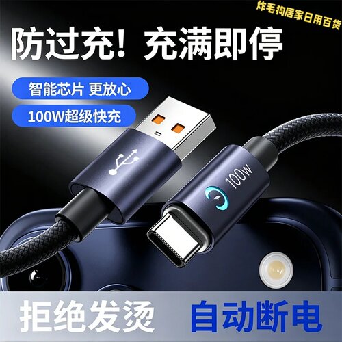 数意100W双Type-C快充数据线
