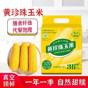 裕谷稻场黄糯玉米棒8支装软糯