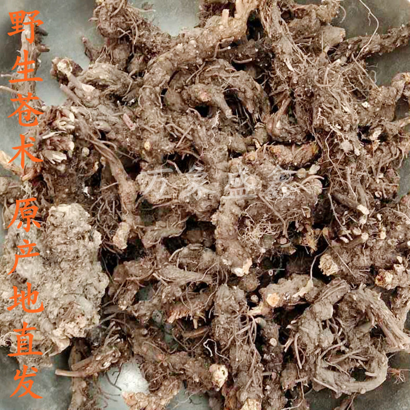 苍术苍株秦巴山区野外生长无硫无蛀虫全干产地一手货源厂家
