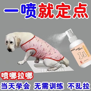 【定点入厕】狗狗厕所诱导剂大小便训练定点排便宠物乱拉定位拉屎
