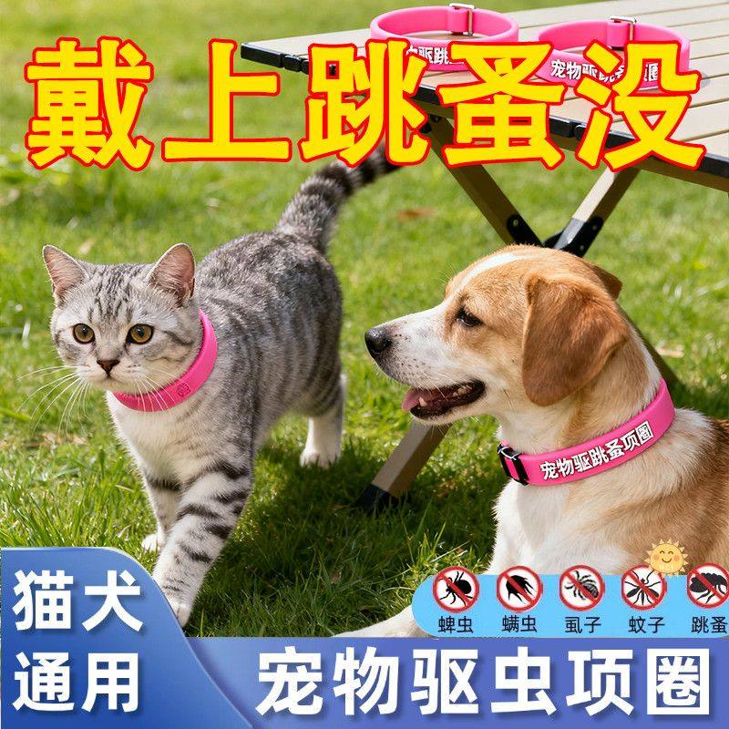 宠物除蚤圈送宠物猫咪沐浴露强效防虱子驱蚊除跳蚤驱虫猫咪项圈