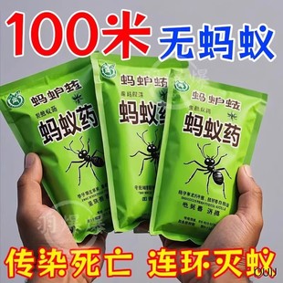 蚂蚁药强效全窝端家用非无毒厨房室内野外菜地灭蚁清一窝端灭蚁药
