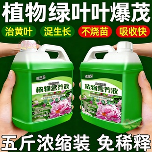 植物通用营养液土培水培发财树绿萝富贵竹盆栽室内外开花促绿肥料