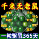 【十年无鼠】强效驱鼠丸驱虫室内蟑螂虫鼠驱避丸仓库新款驱鼠神器