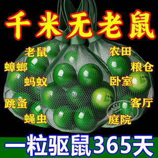 【十年无鼠】强效驱鼠丸驱虫室内蟑螂虫鼠驱避丸仓库新款驱鼠神器