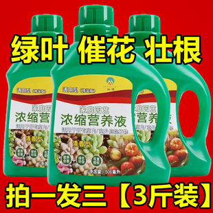 超浓缩植物营养液花肥通用化肥料家用绿植盆栽绿萝叶黄万能富贵竹