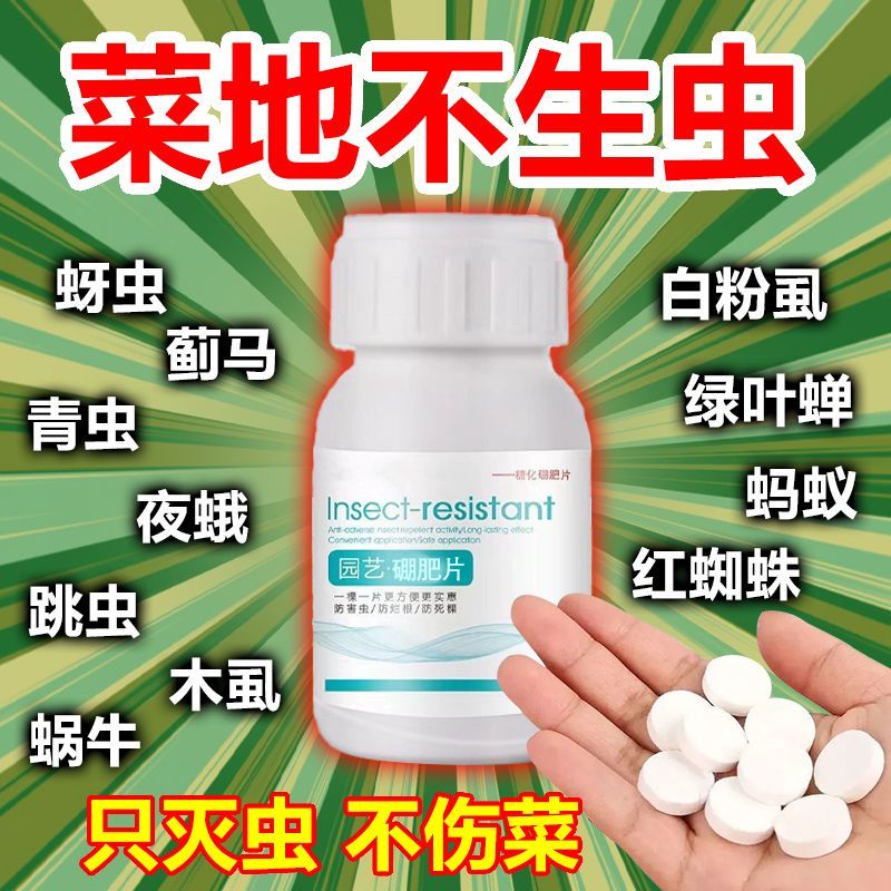 糖化硼肥片园艺驱虫防虫片除蚜虫蓟马白粉虱盆栽果花卉植物防烂根