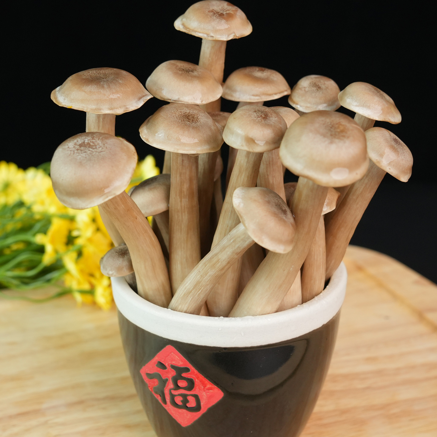 顺丰包邮新鲜鹿茸菇500g菌菇生鲜火锅食材新鲜脆脆菇珊瑚菌非干货