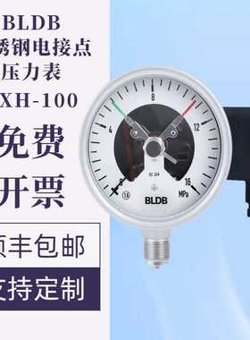 BLDB布莱迪YXH-100不锈钢电接点压力表YXHN-100耐震充油M20*1.5