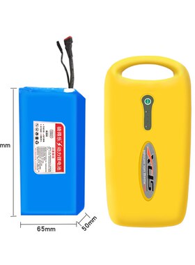 喜德盛24V36V10Ah锂电池风度2/3/4/300/2S漫T步者电动自行车电瓶