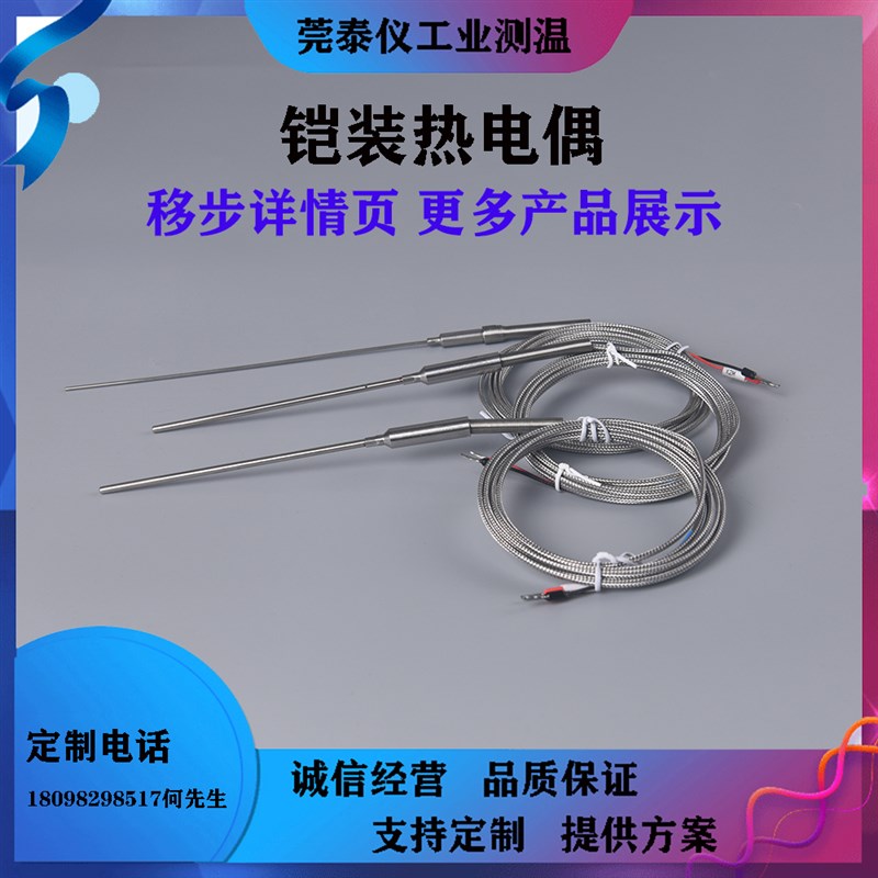 铠装热电偶WRN-191耐高温双组J型K型inconel600材质316探针测温线