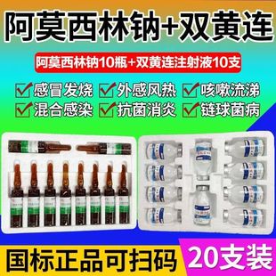 鹏迪阿莫西林钠兽药双黄连注射液兽用猪牛羊猫狗宠物感冒发热咳嗽
