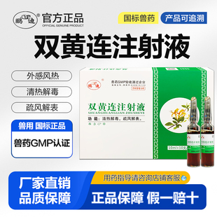 鹏迪兽用双黄连注射液猪牛羊用清热解毒外感风热肺热咳喘正品兽药