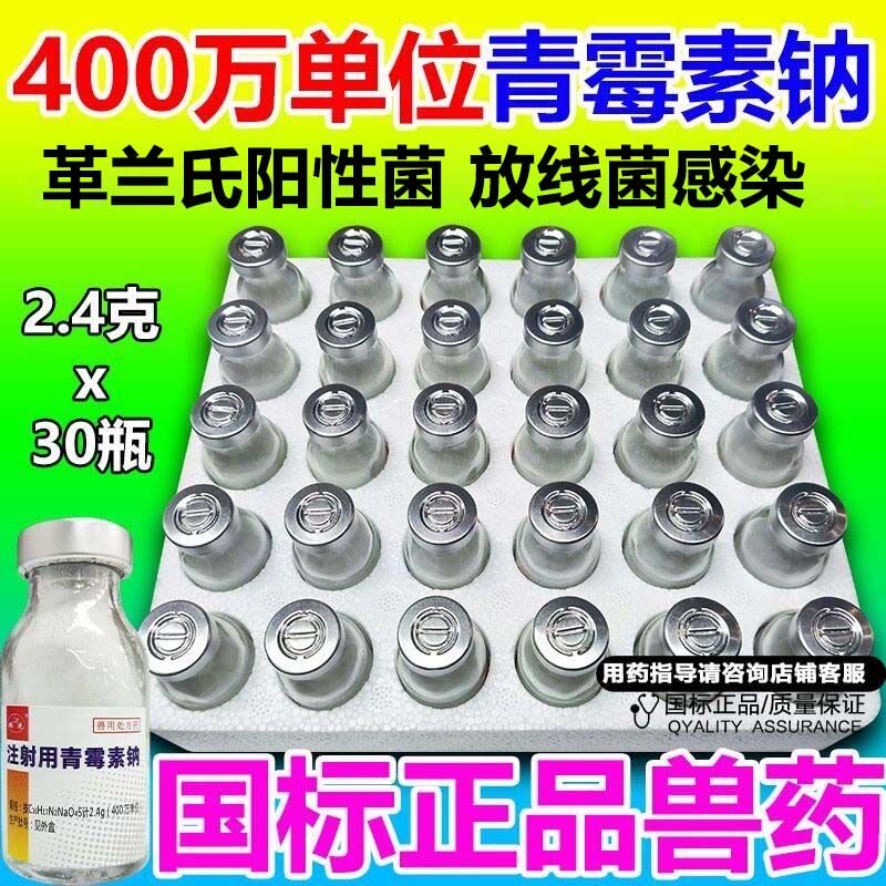 鹏迪青霉素兽用 青霉素钠注射用兽药正品猪牛羊犬猫鸡鸭鹅禽400万