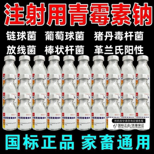 鹏迪青霉素兽用 青霉素钠注射用兽药正品猪牛羊犬猫鸡鸭鹅禽400万