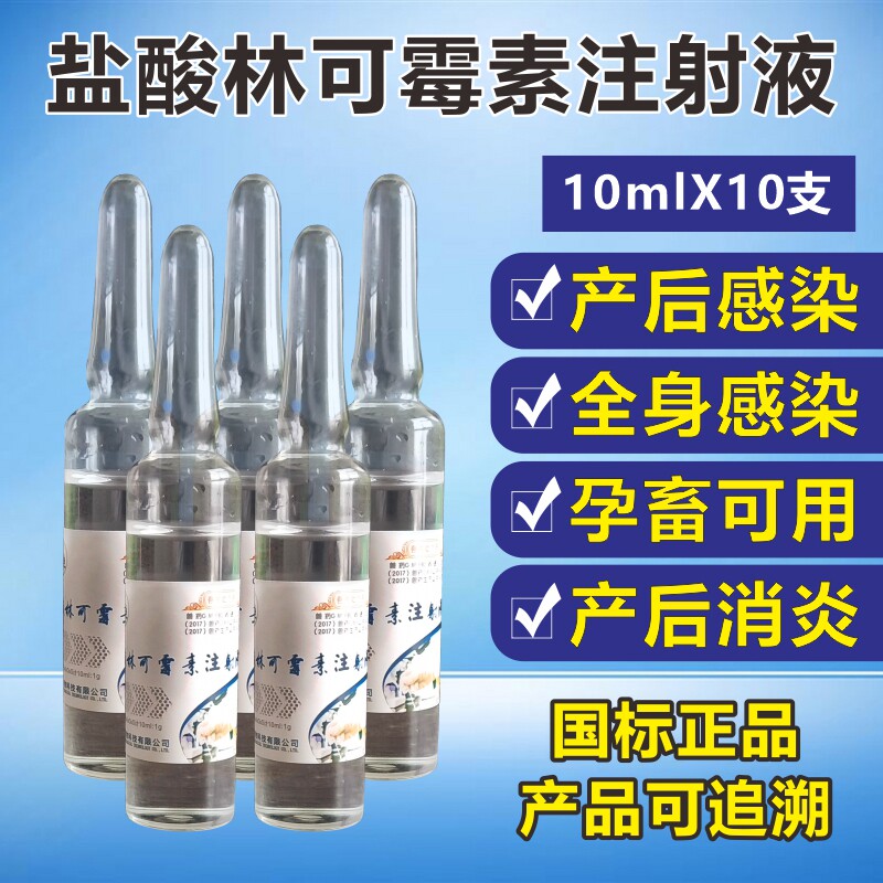 鹏迪兽用盐酸林可霉素注射液猪牛羊产前后抗消炎孕畜可用针剂兽药