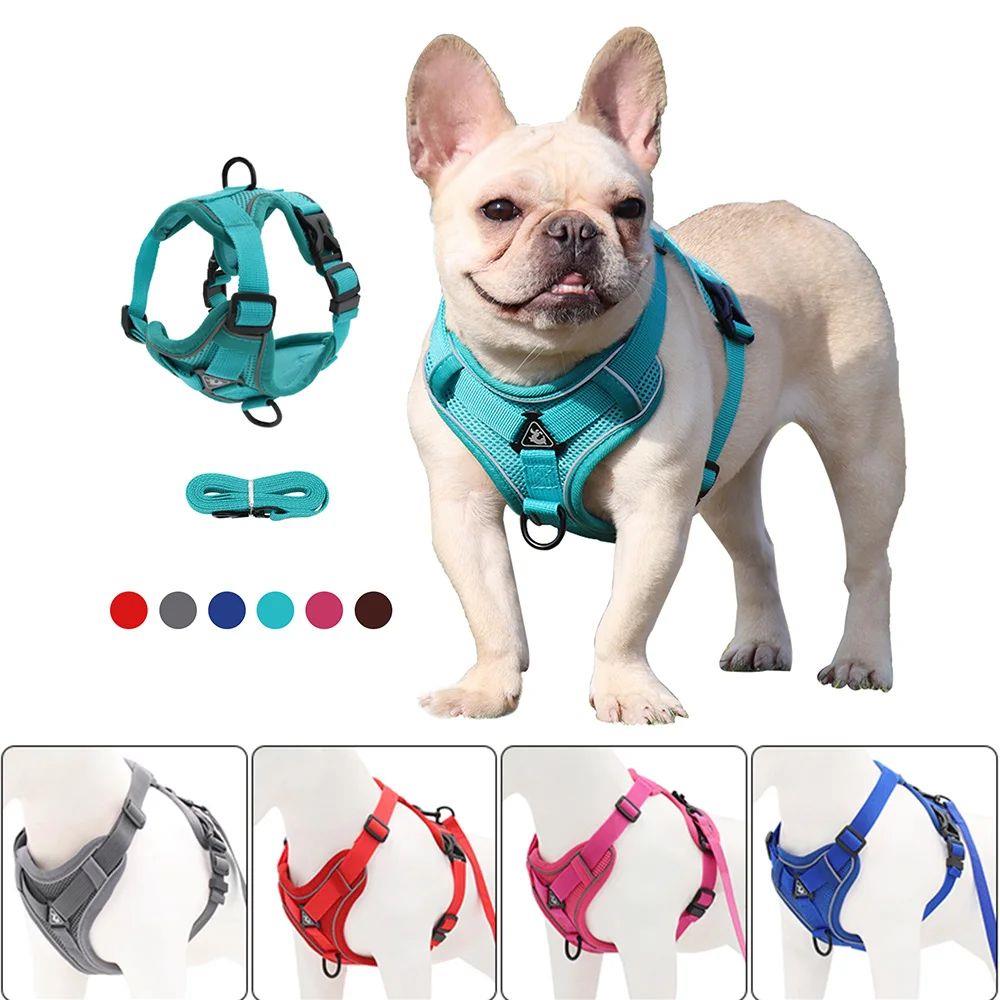 No-Pull Dog Harness and Leash Set for Small Medium Dogs Brea