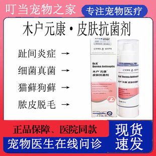康皮肤抗菌剂宠物猫藓狗藓细菌真菌趾间炎肛门腺炎阴囊感染 木户元