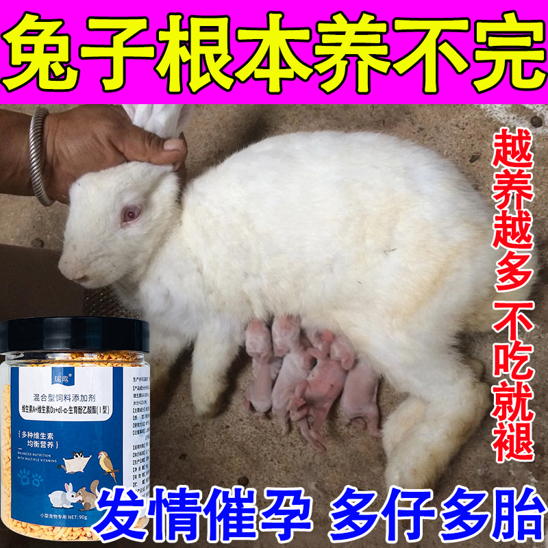 兔子催孕发情提高繁殖速度解决不发情屡配不孕产仔少发情早易受孕