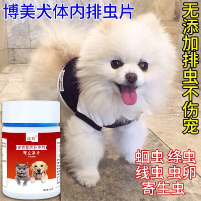 博美体内排虫防虫片狗狗趴地无力瘦弱屁股蹭地寄生虫绦虫蛔虫线虫