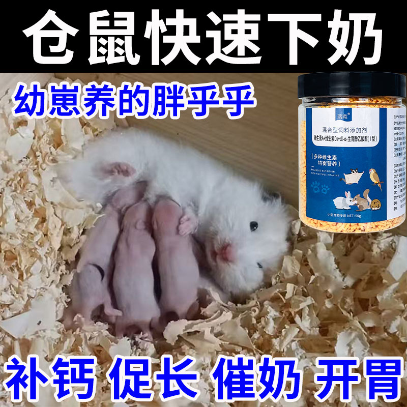 仓鼠下奶月子餐怀孕哺乳期饲料催奶金丝熊生宝宝营养品幼崽粮食物