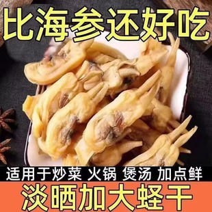 福建蛏干无沙蛏子蛏肉干圣子肉新鲜熟晒干蛏子肉海鲜干货