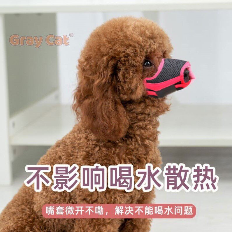 小狗狗嘴套防乱吃咬人叫幼犬口罩护嘴巴套泰迪比熊博美专用小型犬
