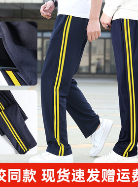藏青色校服裤子黄色初中生小学生二条杠小学校裤两条杠款黄条加绒