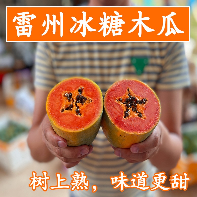 树上熟 雷州冰糖木瓜绿符老树红心木瓜当季新鲜水果8/5/3斤包邮