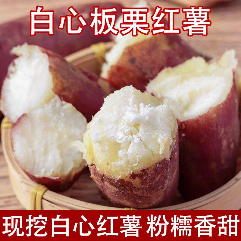新鲜现挖白心红薯粉面香甜白瓤板栗薯地瓜 多仓发货/坏果包赔