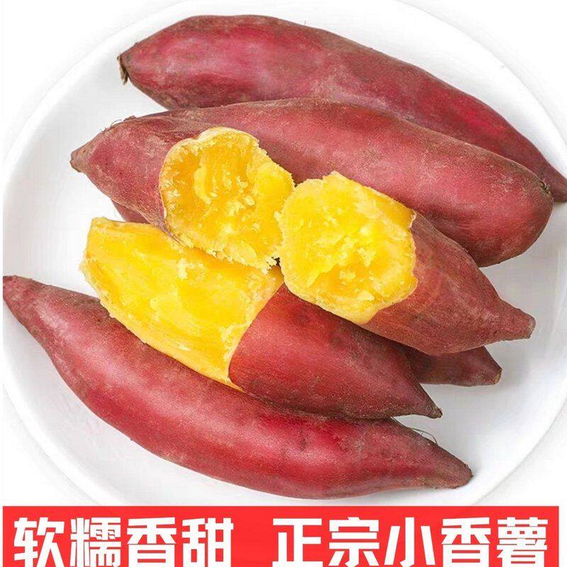 沙地正宗小香薯现挖现发黄心板栗味红薯健康粗粮辅食软糯香甜番薯