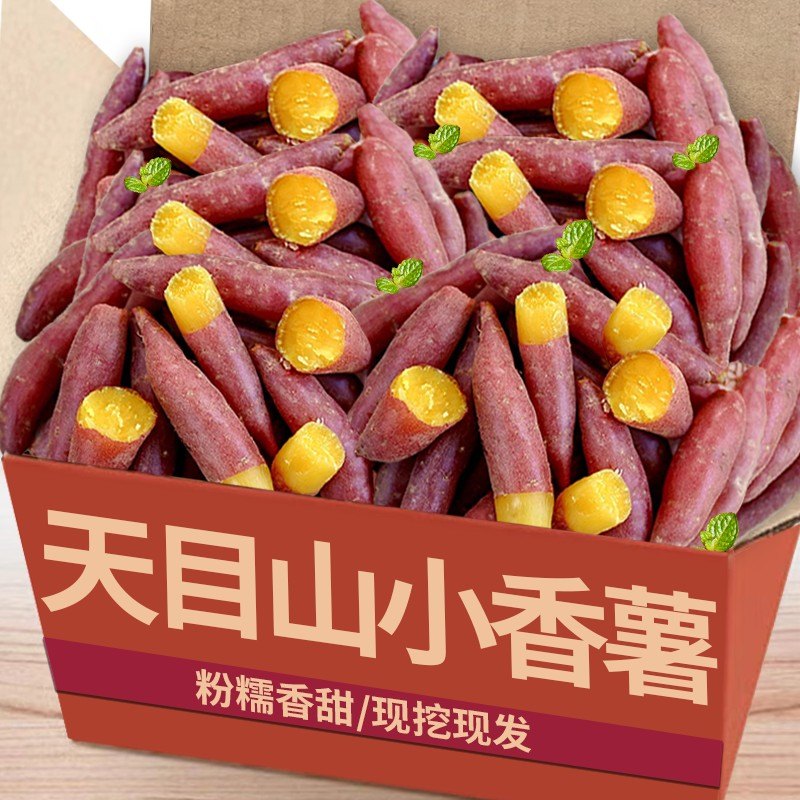 正宗天目小香薯3/5斤正宗板栗红薯黄心蜜薯新鲜自种小番薯地瓜