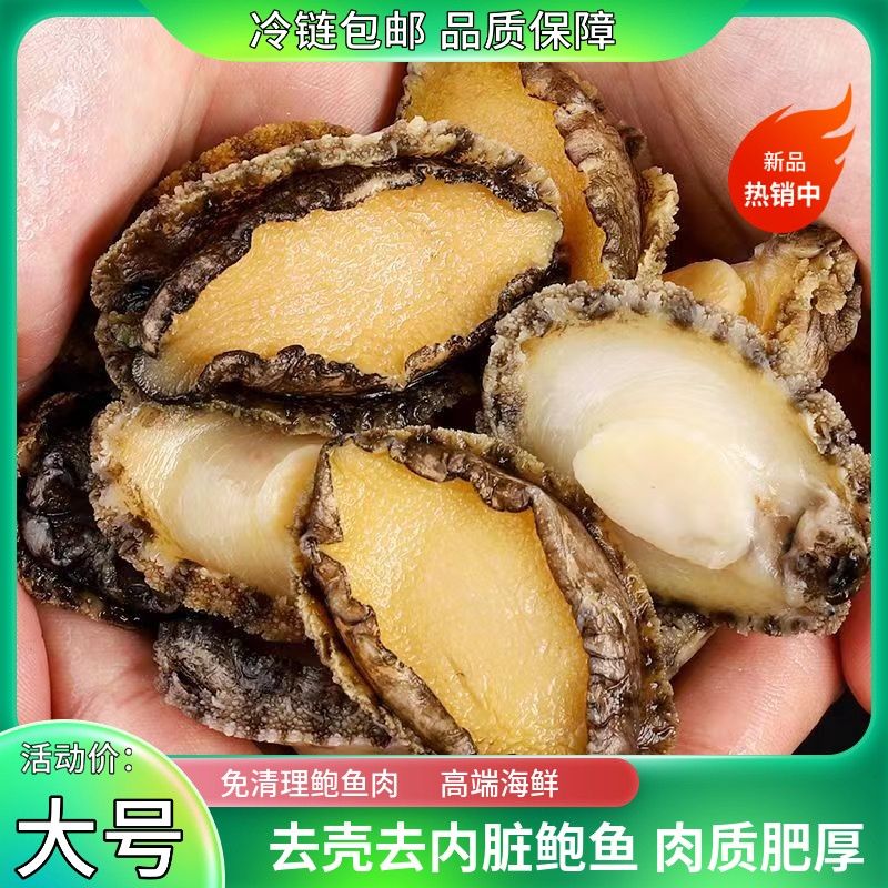 鲍鱼肉5-8厘米去壳去内脏现剥纯肉鲜冻免处理 海鲜水产冷链包邮