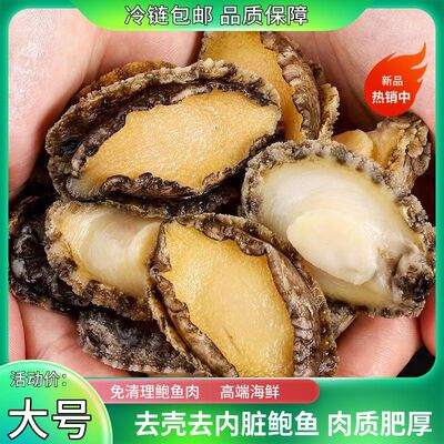 鲍鱼肉5-8厘米去壳去内脏现剥纯肉鲜冻免处理 海鲜水产冷链包邮