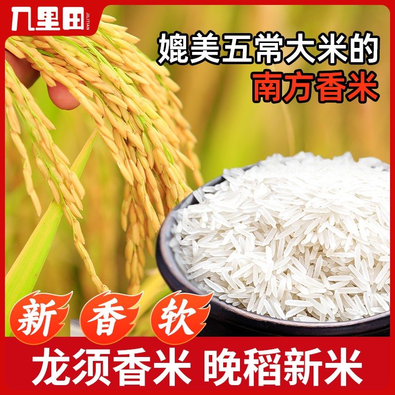 可拆袋试吃正宗广西龙须大米农家米5斤/10斤装长粒香米丝苗米zb