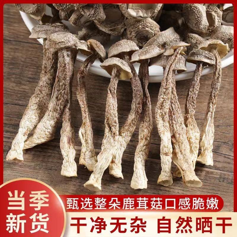 干货鹿茸菇优质干货鲜香脆嫩无干燥剂250g2 袋QQ