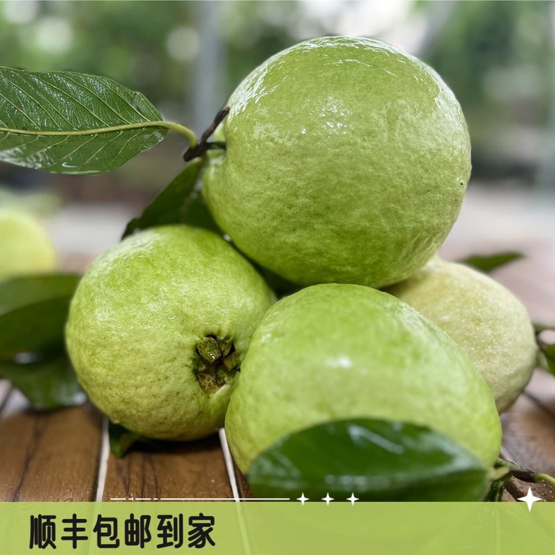 南沙万顷沙白心低卡低热量珍珠番石榴正宗脆口芭乐高维c健康水果