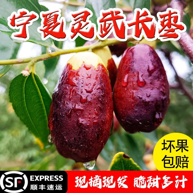 宁夏灵武长枣鲜枣当季新鲜水果枣子脆甜长红枣非冬枣1