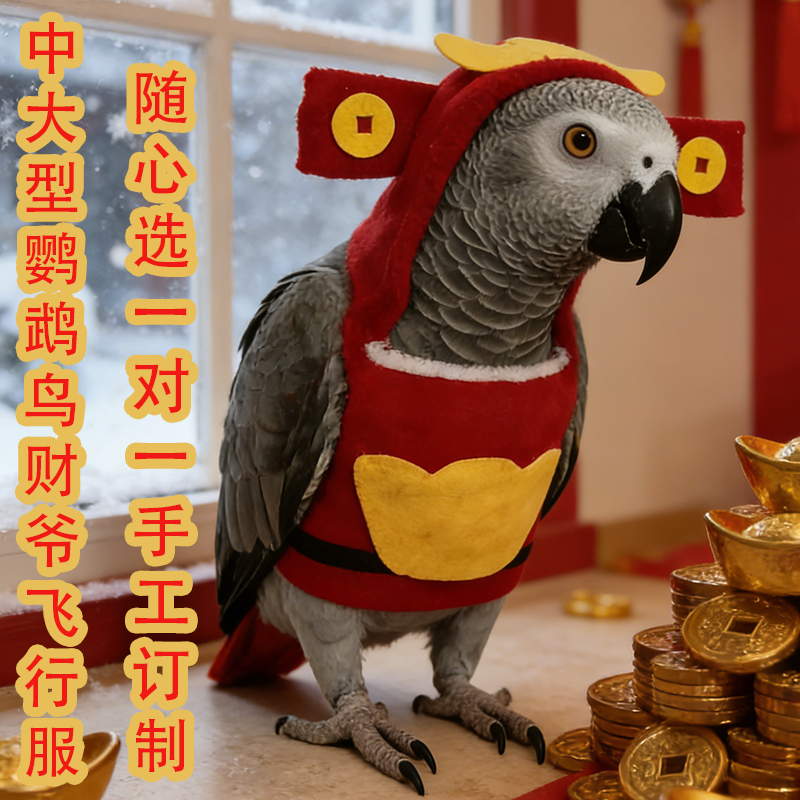 新年财神款灰鹦鹉飞行服小鸟类衣服冬季保暖服护肚卫衣遛鸟拜年服,宠物/宠物食品及用品,鸟禽服饰,淘宝优惠券,粉丝福利购,淘宝优惠卷