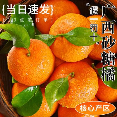 广西砂糖橘新鲜当季整箱水果10斤装沃正宗金秋沙糖蜜桔小柑橘桔子