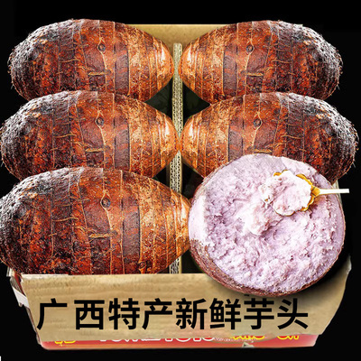 正宗广西荔浦芋头粉糯香新鲜现挖