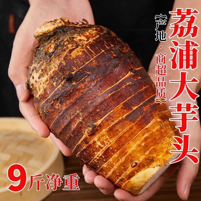 广西荔浦新鲜大芋头10斤整箱小芋头正宗槟榔芋毛芋头现挖香芋紫藤