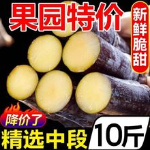 广西黑皮甘蔗9斤新鲜水果当季脆甜杆蔗孕妇果蔗批发特产整箱5包邮